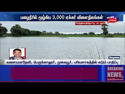 Chidambaram Rain And Crops Damage | மழைநீரில் மூழ்கிய 3,000 ஏக்கர் விளைநிலங்கள் | Tamil Nadu Rain