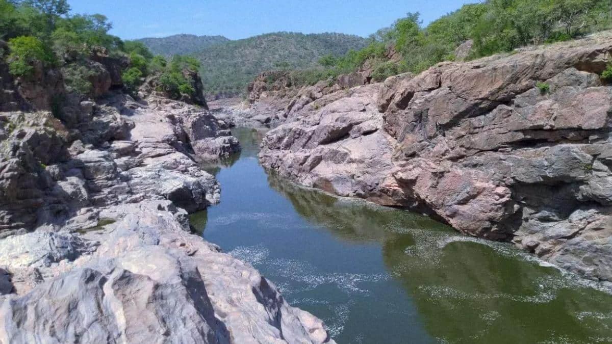 Mekedatu Dam: மேகதாது விவகாரம்.. தமிழ்நாட்டிற்கு அதிகாரமில்லை.. மத்திய அமைச்சரின் பதிலால் சர்ச்சை!