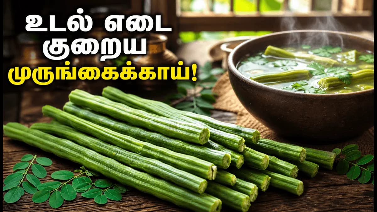 முருங்கைக்காய் சாப்பிட்டால் உடல் எடை குறையுமா? வியக்க வைக்கும் மருத்துவ ரகசியங்கள் இதோ!