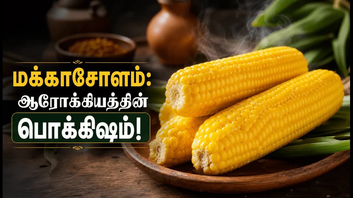 மக்காசோளம் சாப்பிடுவதால் கிடைக்கும் 5 அபார நன்மைகள்: இதயம் முதல் செரிமானம் வரை!