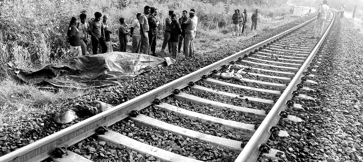 கோவை: வயிற்றில் கருவுடன் உயிரிழந்த பெண் யானை; ரயில் மோதியதில் மற்றொரு யானைக்கும் சோகம்