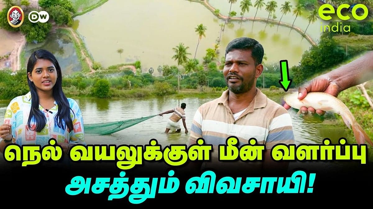 ECO India : வீடியோ பாருங்க... பரிசை அள்ளுங்க.! - முழு தகவல்