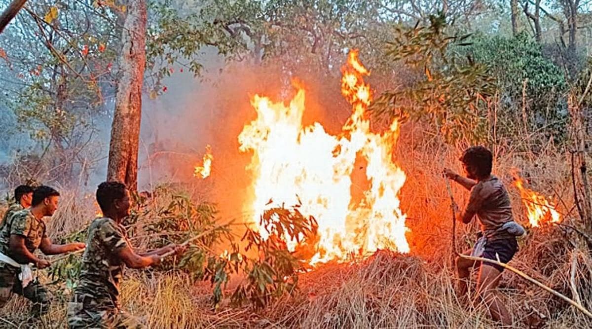 ஸ்ரீவில்லி. - மேகமலை புலிகள் காப்பகத்தில் 2-வது நாளாக எரியும் காட்டுத் தீ!