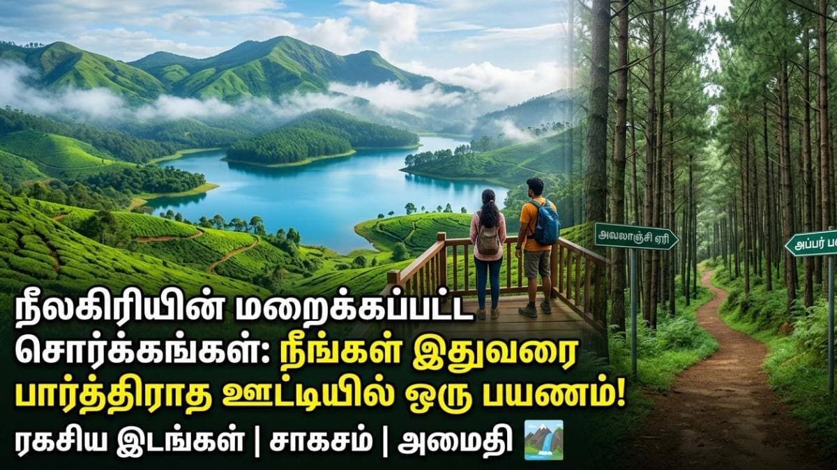 கூட்டமே இல்லாத ஊட்டி வேணுமா? அப்போ இந்த 7 இடங்களுக்கு மட்டும் போங்க! ரகசியத் தீவு!