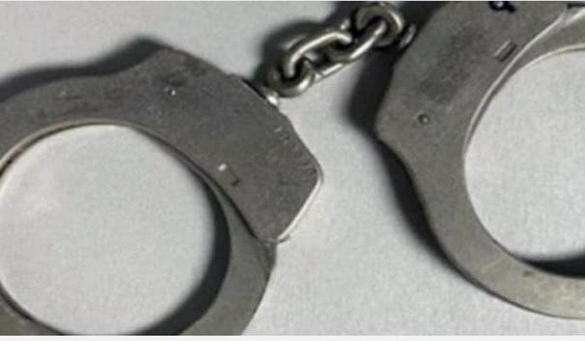 சென்னை | போதை காளான் கடத்திய மருத்துவ மாணவர் கைது