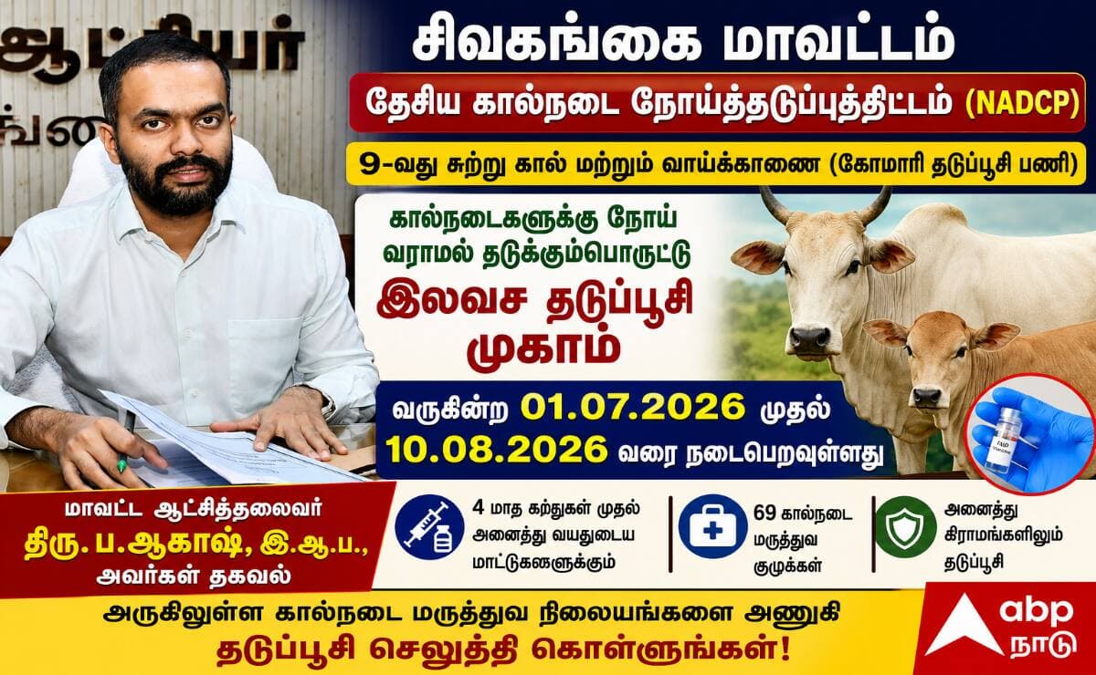 சிவகங்கையில் கால்நடை வளர்ப்போருக்கு பொன்னான வாய்ப்பு: இலவச கோமாரி தடுப்பூசி முகாம் துவங்கியது !