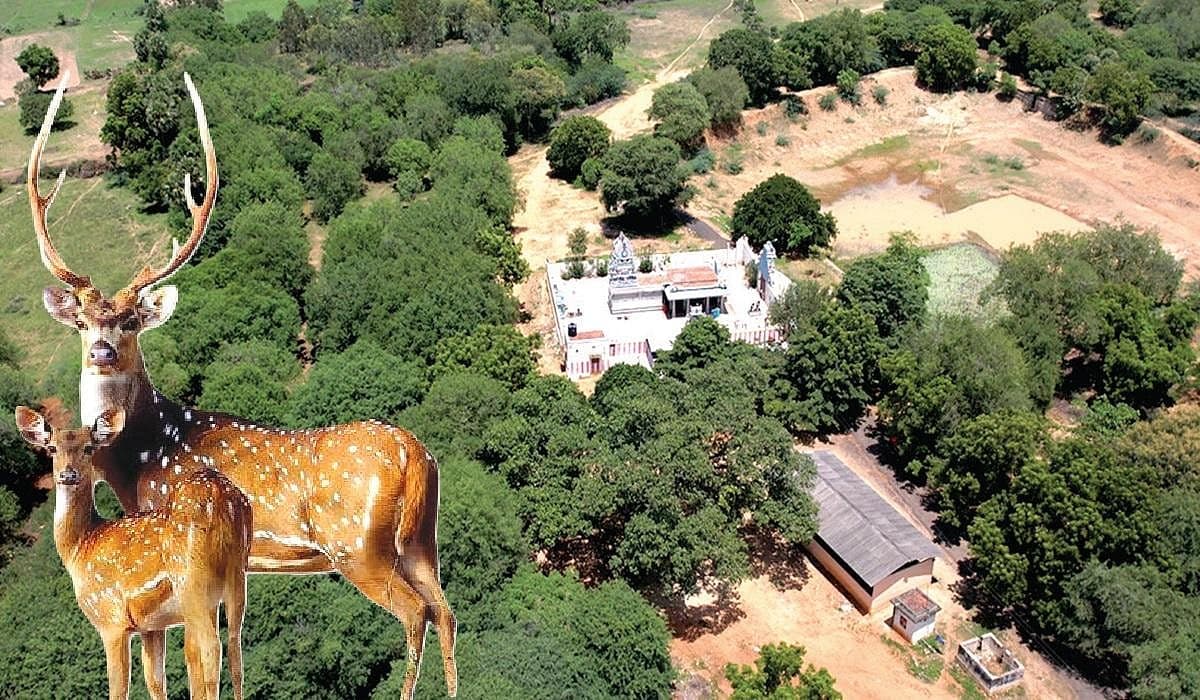 மான்கள் வாழும் கள்ளங்காடு பகுதி பாதுகாக்கப்படுமா?