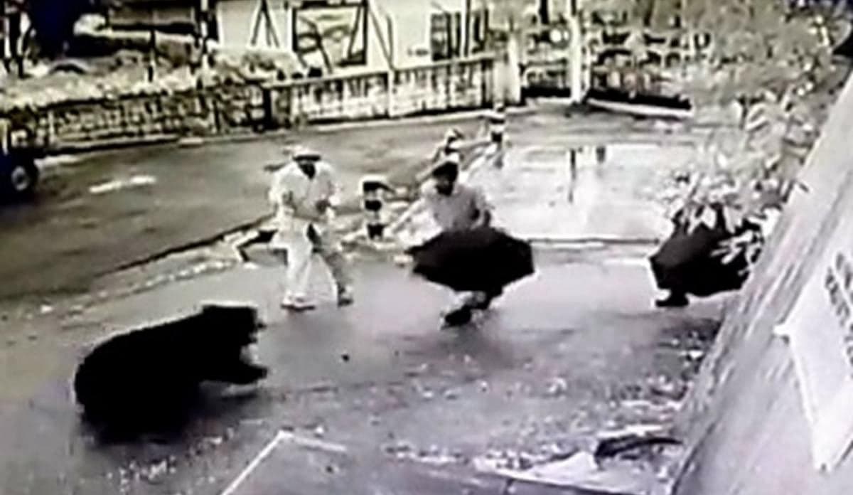 வால்பாறையில் தாக்க முயன்ற கரடியை குடையால் அடித்து விரட்டிய தொழிலாளர்கள்!