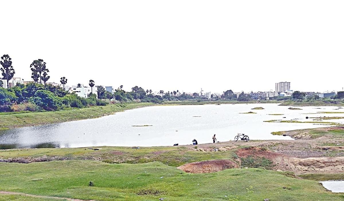 பள்ளிக்கரணை ஏரியில் கழிவுநீர் கலப்பதை வேடிக்கை பார்க்கும் சென்னை மாநகராட்சி, நீர்வளத் துறை!