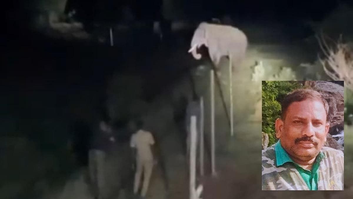 மயக்க ஊசி செலுத்த முயன்றபோது ‘ரோலக்ஸ்’ யானை தாக்கி கால்நடை மருத்துவர் படுகாயம்